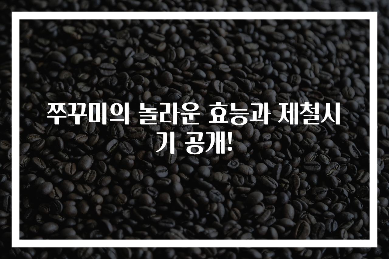 쭈꾸미의 놀라운 효능과 제철시기 공개!