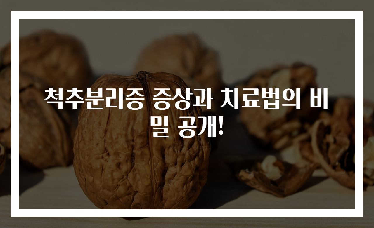 척추분리증 증상과 치료법의 비밀 공개!