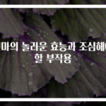 천마의 놀라운 효능과 조심해야 할 부작용