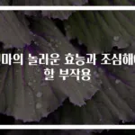 천마의 놀라운 효능과 조심해야 할 부작용