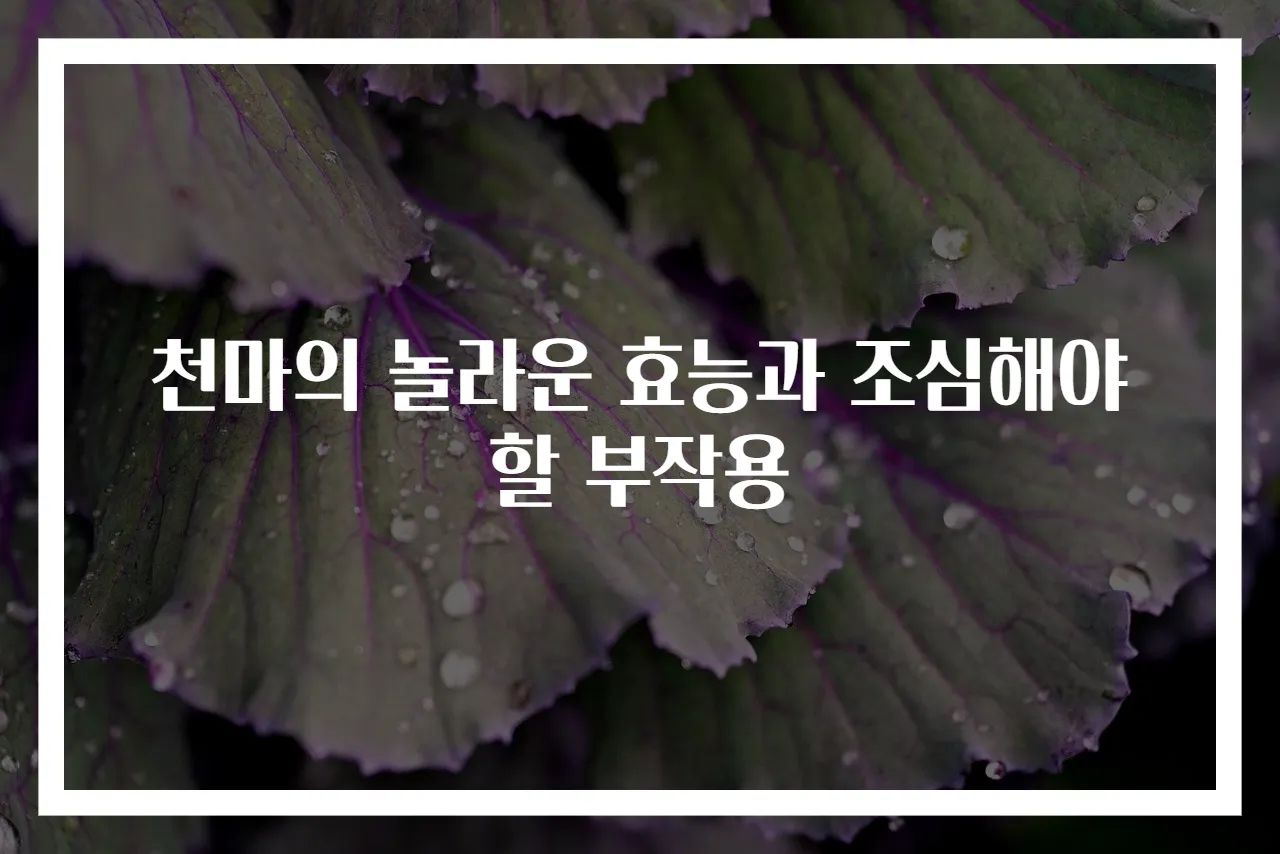 천마의 놀라운 효능과 조심해야 할 부작용