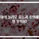 천마의 놀라운 효능과 주의해야 할 부작용!