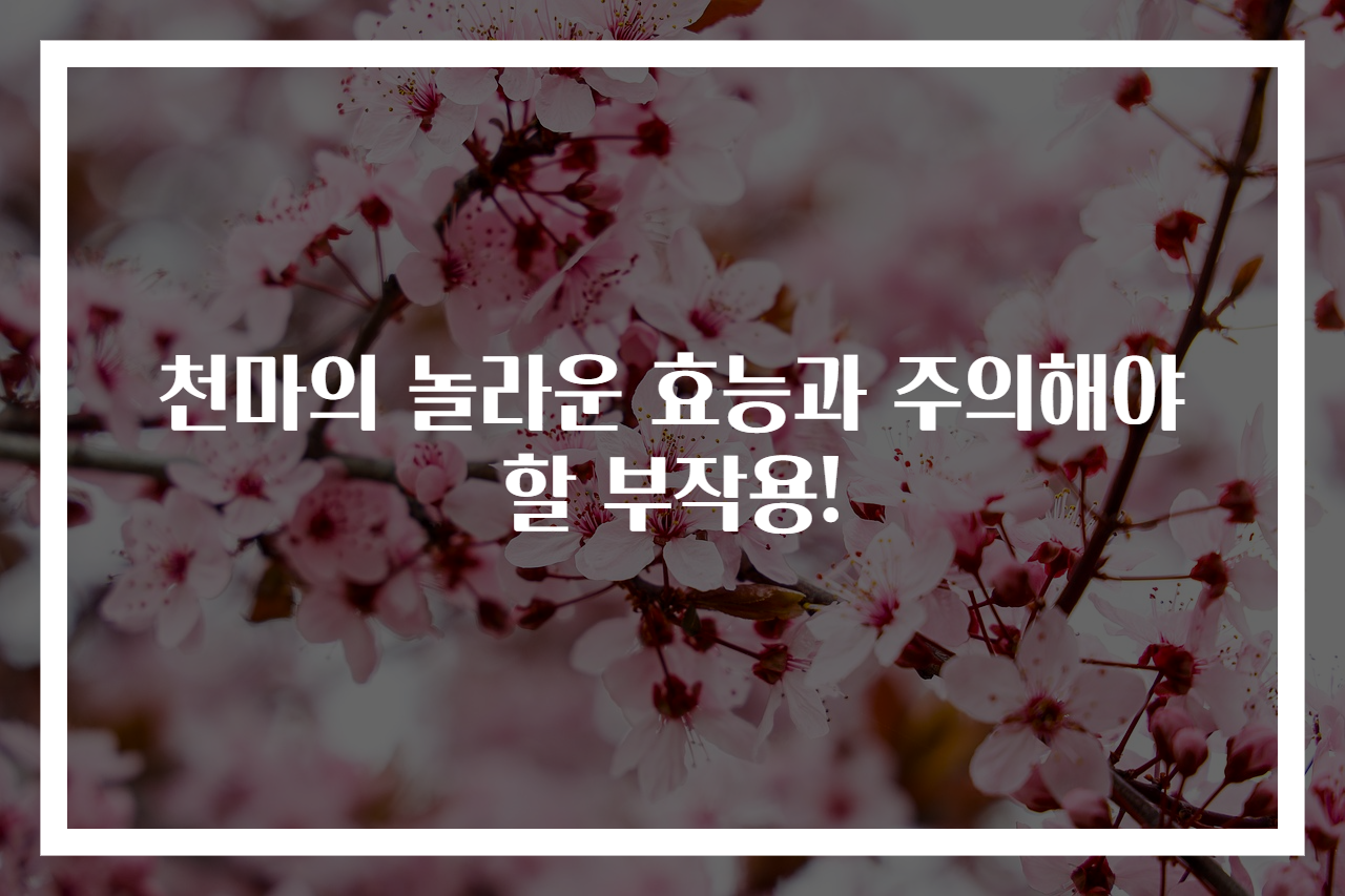 천마의 놀라운 효능과 주의해야 할 부작용!