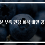 철분 부족 건강 회복 비밀 공개!