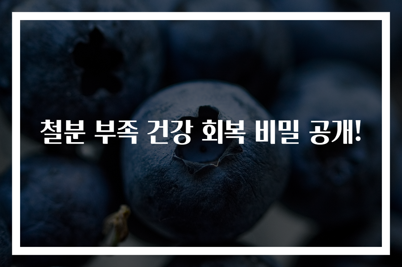 철분 부족 건강 회복 비밀 공개!