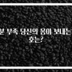 철분 부족 당신의 몸이 보내는 신호는?
