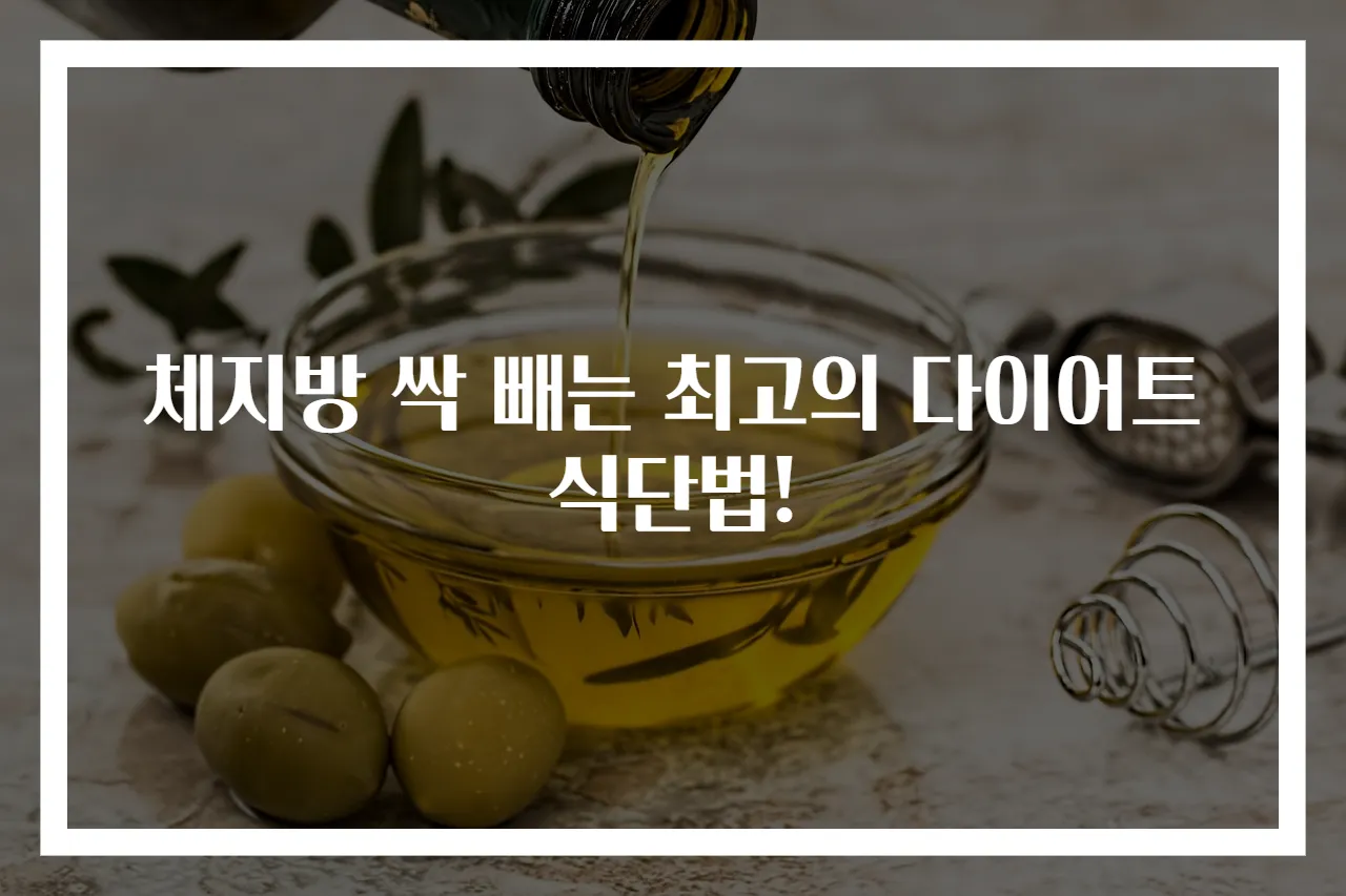 체지방 싹 빼는 최고의 다이어트 식단법!