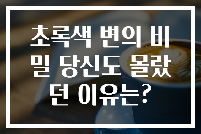 초록색 변의 비밀 당신도 몰랐던 이유는?