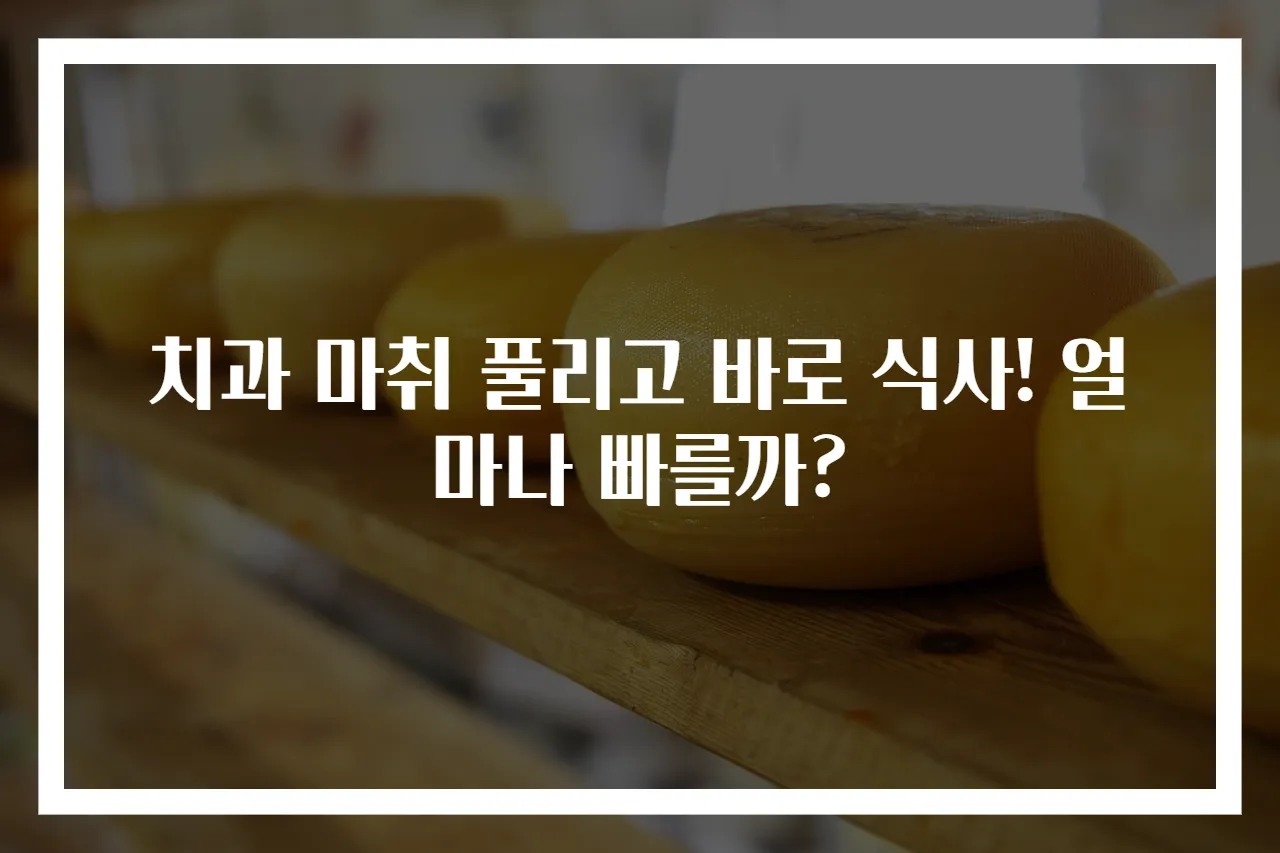 치과 마취 풀리고 바로 식사! 얼마나 빠를까?