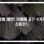 치매 예방! 치매에 좋은 6가지 슈퍼푸드