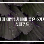 치매 예방! 치매에 좋은 6가지 슈퍼푸드