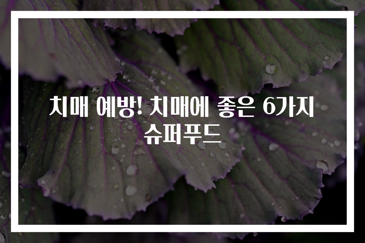 치매 예방! 치매에 좋은 6가지 슈퍼푸드