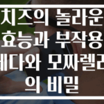 치즈의 놀라운 효능과 부작용 체다와 모짜렐라의 비밀