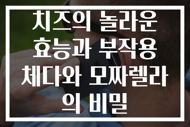 치즈의 놀라운 효능과 부작용 체다와 모짜렐라의 비밀