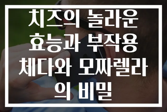 치즈의 놀라운 효능과 부작용 체다와 모짜렐라의 비밀