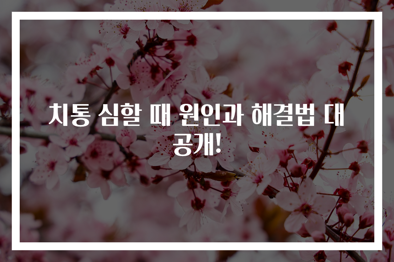 치통 심할 때 원인과 해결법 대공개!