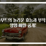 카무트의 놀라운 효능과 부작용 영양 비밀 공개!