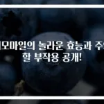 캐모마일의 놀라운 효능과 주의할 부작용 공개!