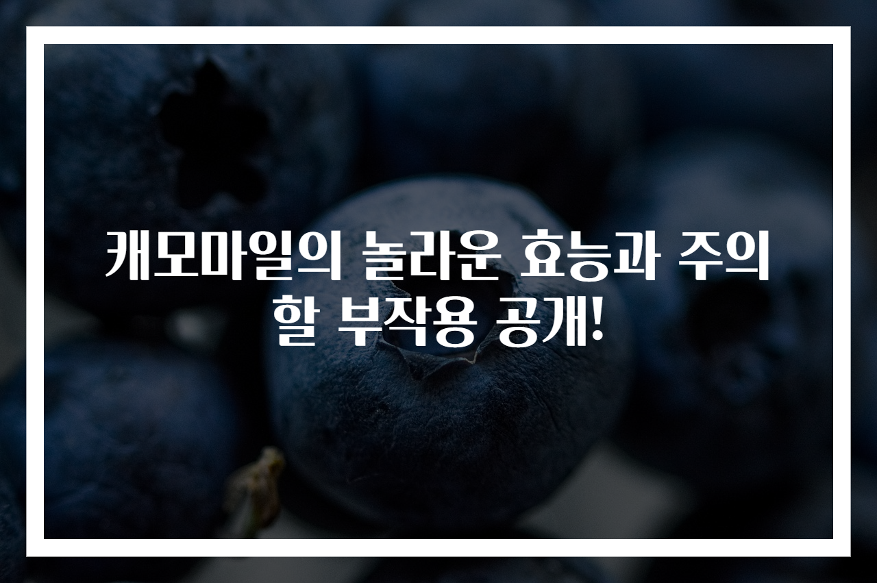 캐모마일의 놀라운 효능과 주의할 부작용 공개!