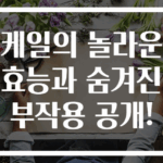케일의 놀라운 효능과 숨겨진 부작용 공개!