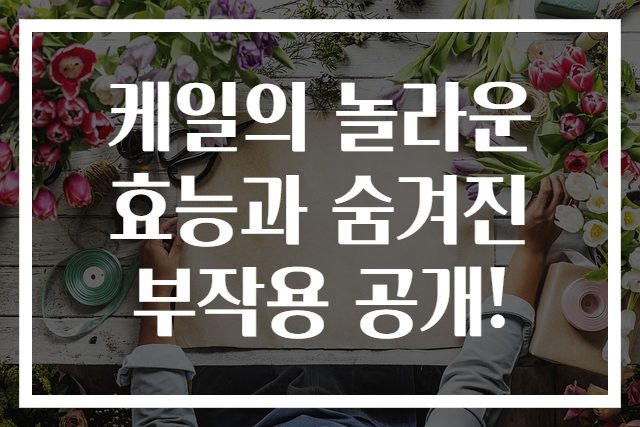 케일의 놀라운 효능과 숨겨진 부작용 공개!