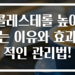 콜레스테롤 높이는 이유와 효과적인 관리법!