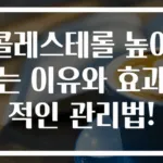 콜레스테롤 높이는 이유와 효과적인 관리법!