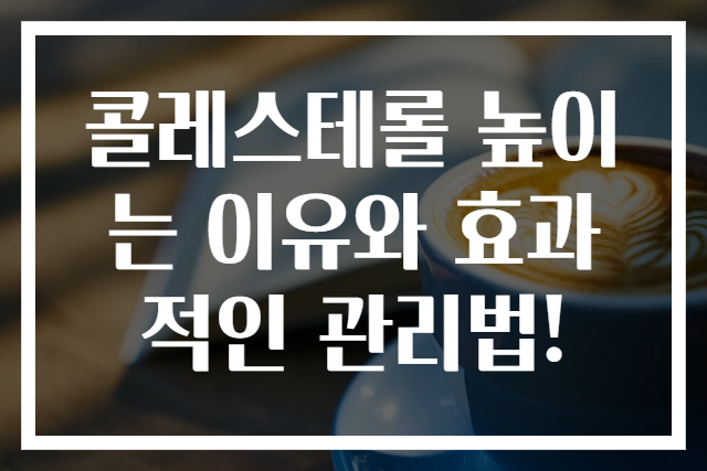 콜레스테롤 높이는 이유와 효과적인 관리법!
