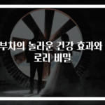 콤부차의 놀라운 건강 효과와 칼로리 비밀
