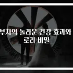 콤부차의 놀라운 건강 효과와 칼로리 비밀