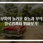 콤부차의 놀라운 효능과 부작용 칼로리까지 밝혀보기!