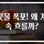 콧물 폭포! 왜 계속 흐를까?