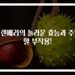 크랜베리의 놀라운 효능과 주의할 부작용!