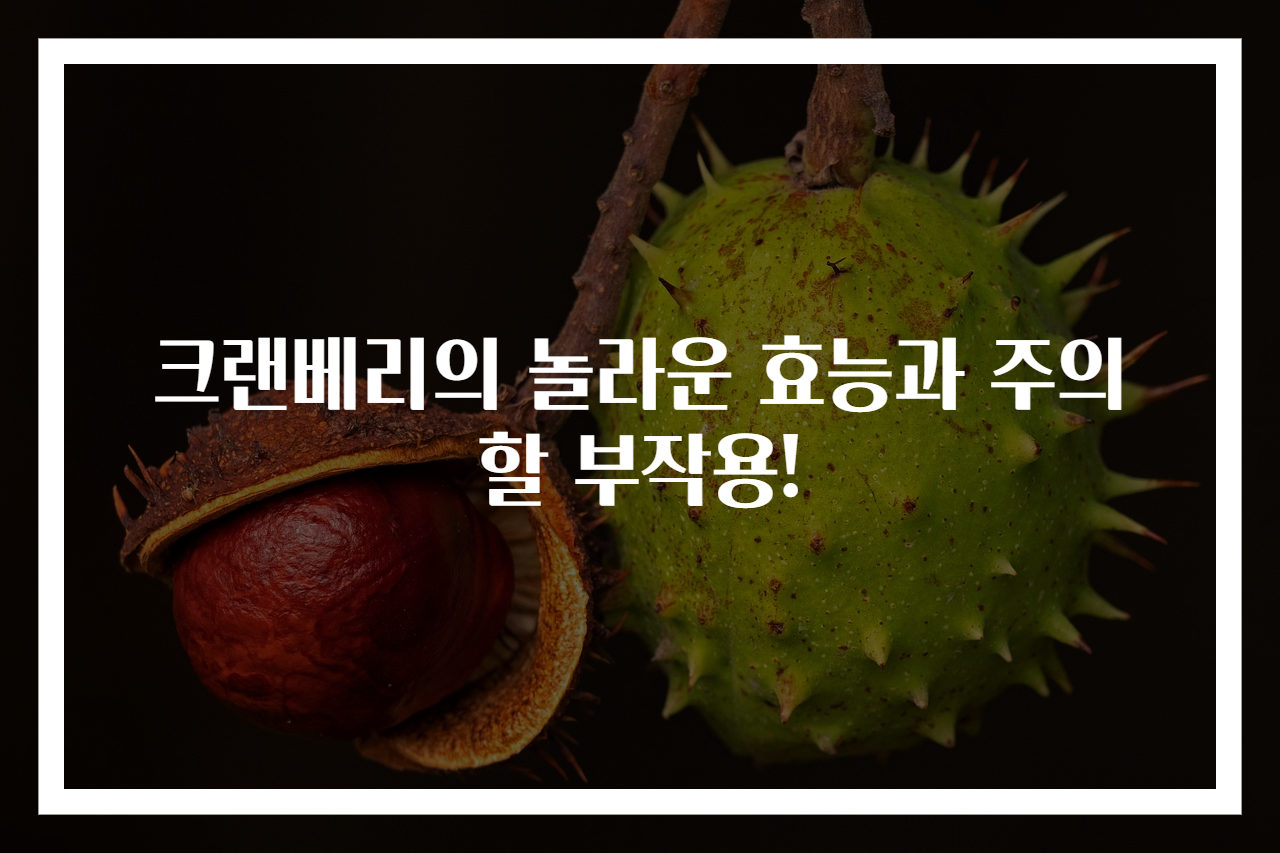 크랜베리의 놀라운 효능과 주의할 부작용!
