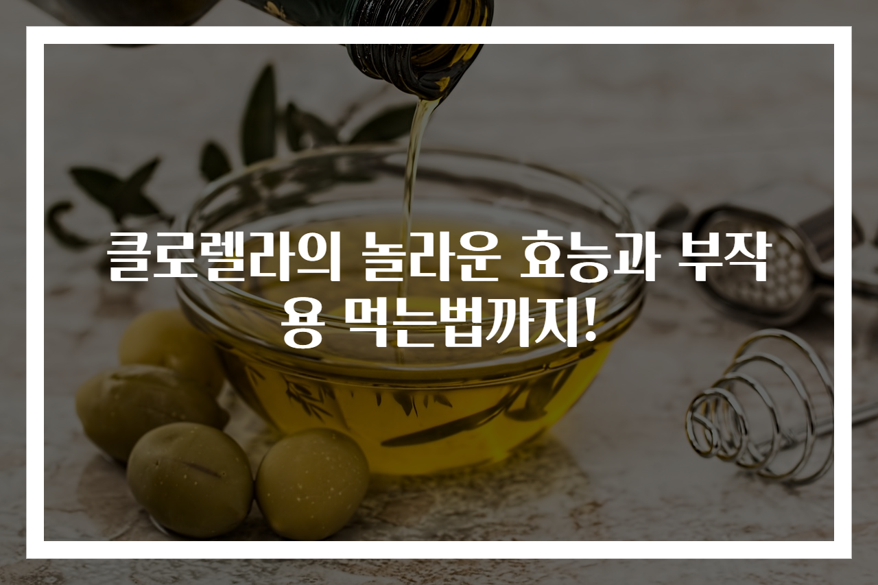 클로렐라의 놀라운 효능과 부작용 먹는법까지!