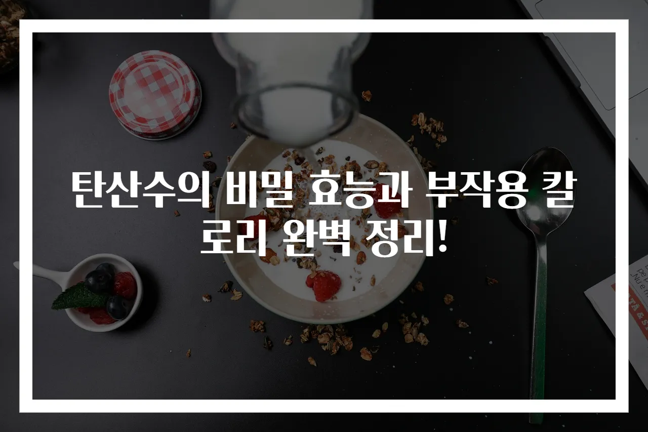 탄산수의 비밀 효능과 부작용 칼로리 완벽 정리!