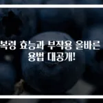 토복령 효능과 부작용 올바른 복용법 대공개!