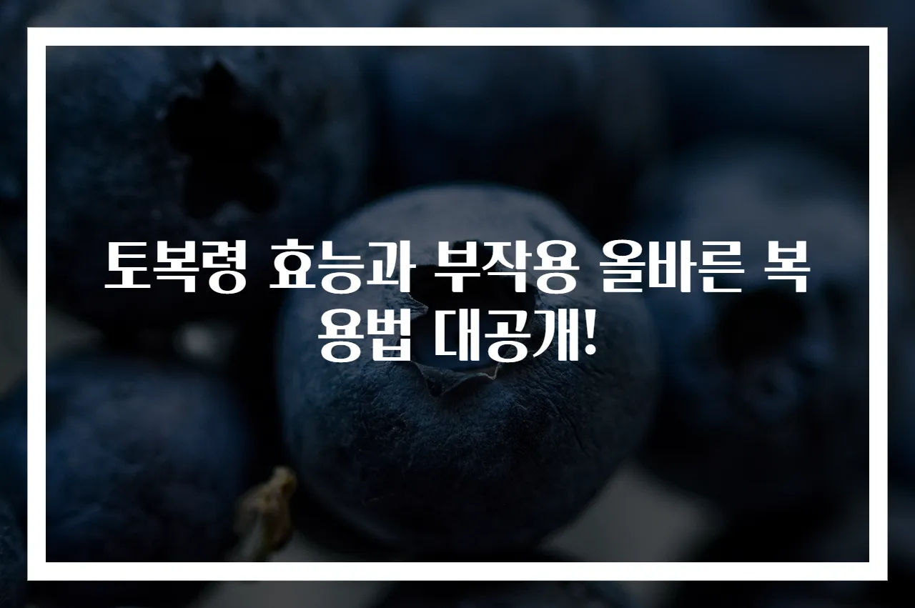 토복령 효능과 부작용 올바른 복용법 대공개!