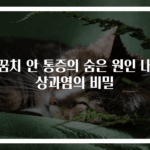 팔꿈치 안 통증의 숨은 원인 내측상과염의 비밀