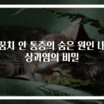 팔꿈치 안 통증의 숨은 원인 내측상과염의 비밀