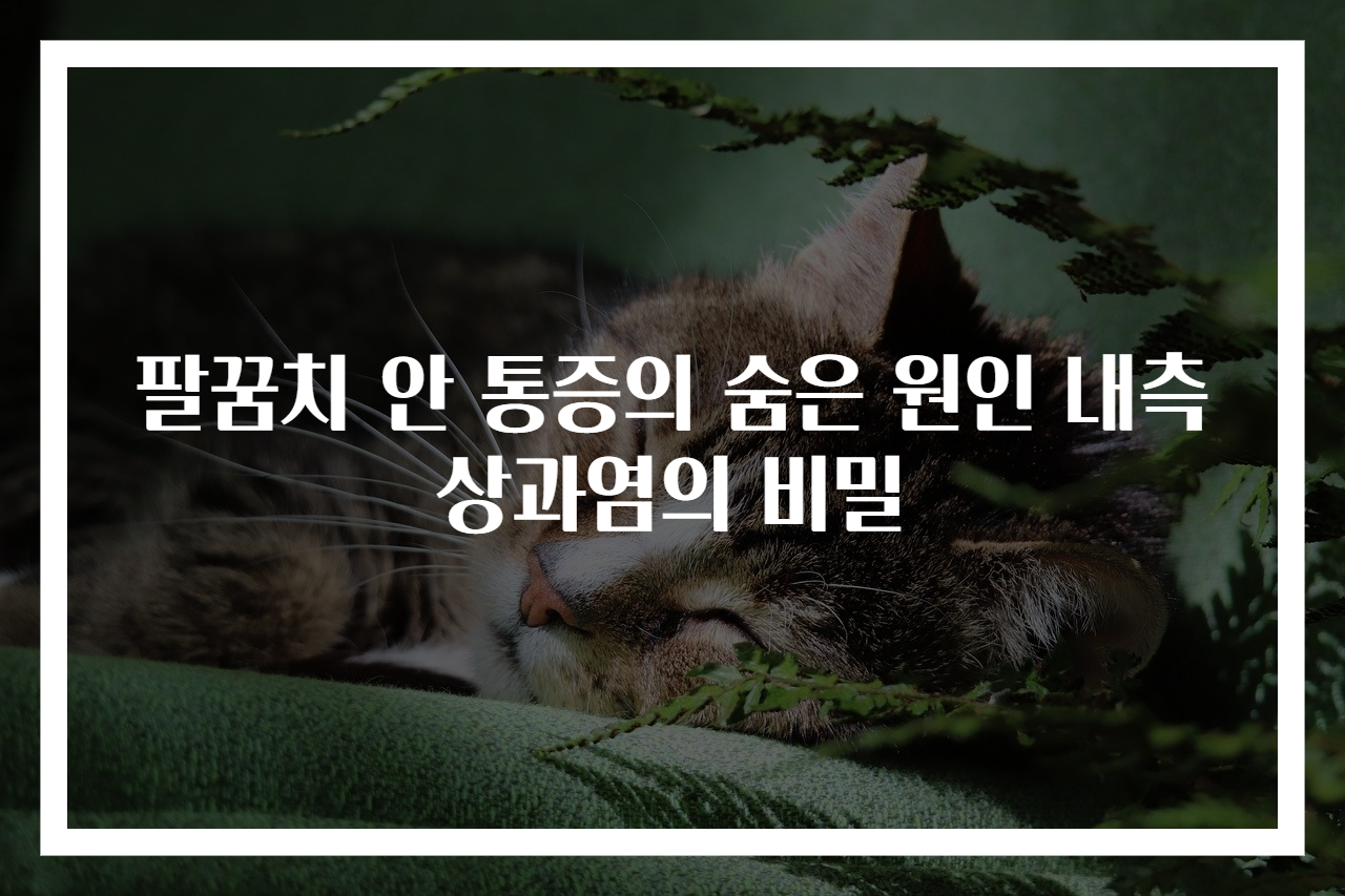팔꿈치 안 통증의 숨은 원인 내측상과염의 비밀
