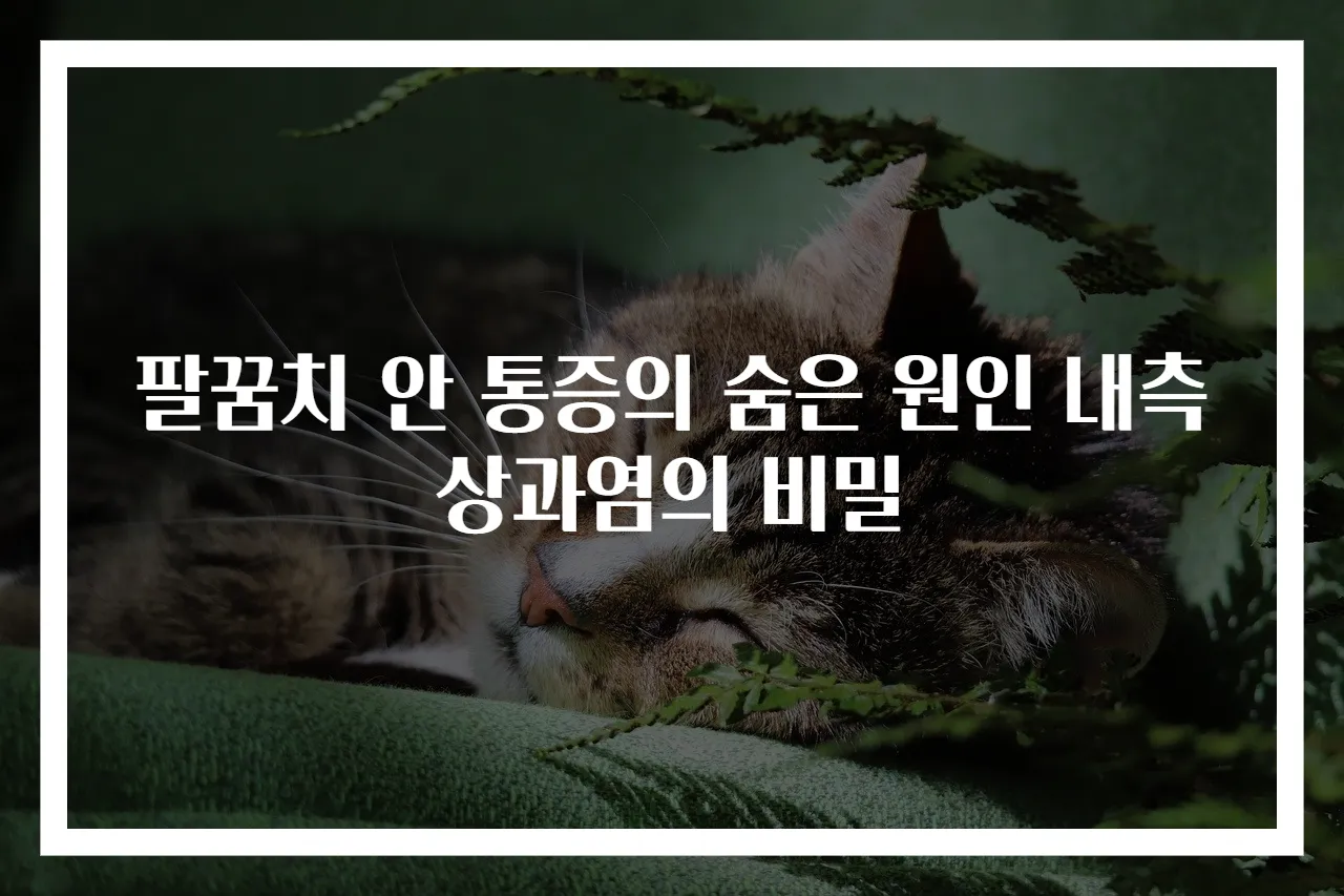 팔꿈치 안 통증의 숨은 원인 내측상과염의 비밀