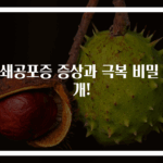 폐쇄공포증 증상과 극복 비밀 공개!
