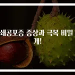 폐쇄공포증 증상과 극복 비밀 공개!