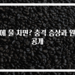 폐에 물 차면? 충격 증상과 원인 공개