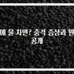 폐에 물 차면? 충격 증상과 원인 공개