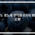 포도 효능과 부작용 8가지 비밀 공개!