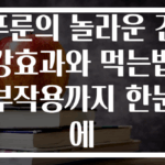 푸룬의 놀라운 건강효과와 먹는법 부작용까지 한눈에