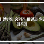 피 혈변의 숨겨진 비밀과 원인 대공개
