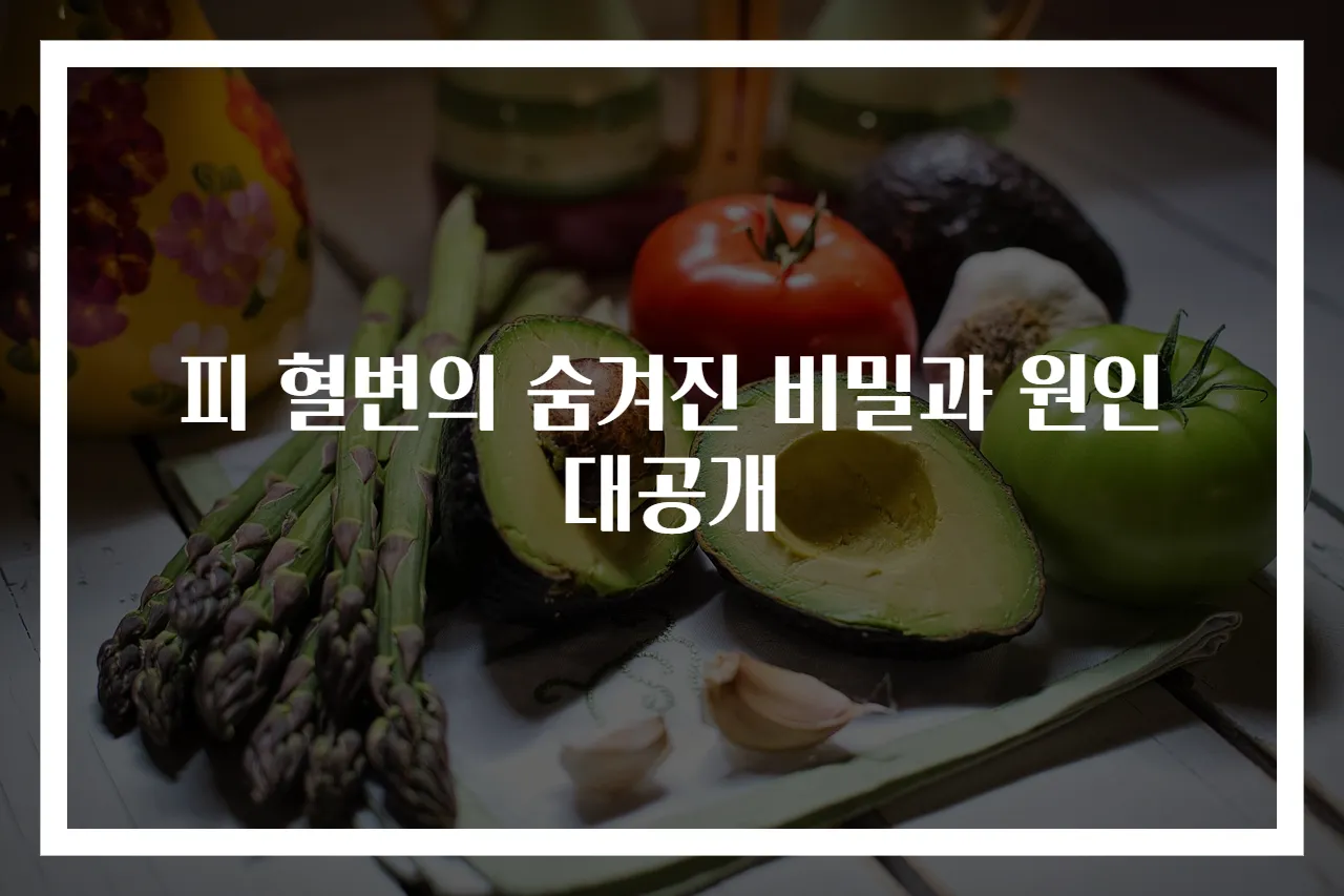 피 혈변의 숨겨진 비밀과 원인 대공개